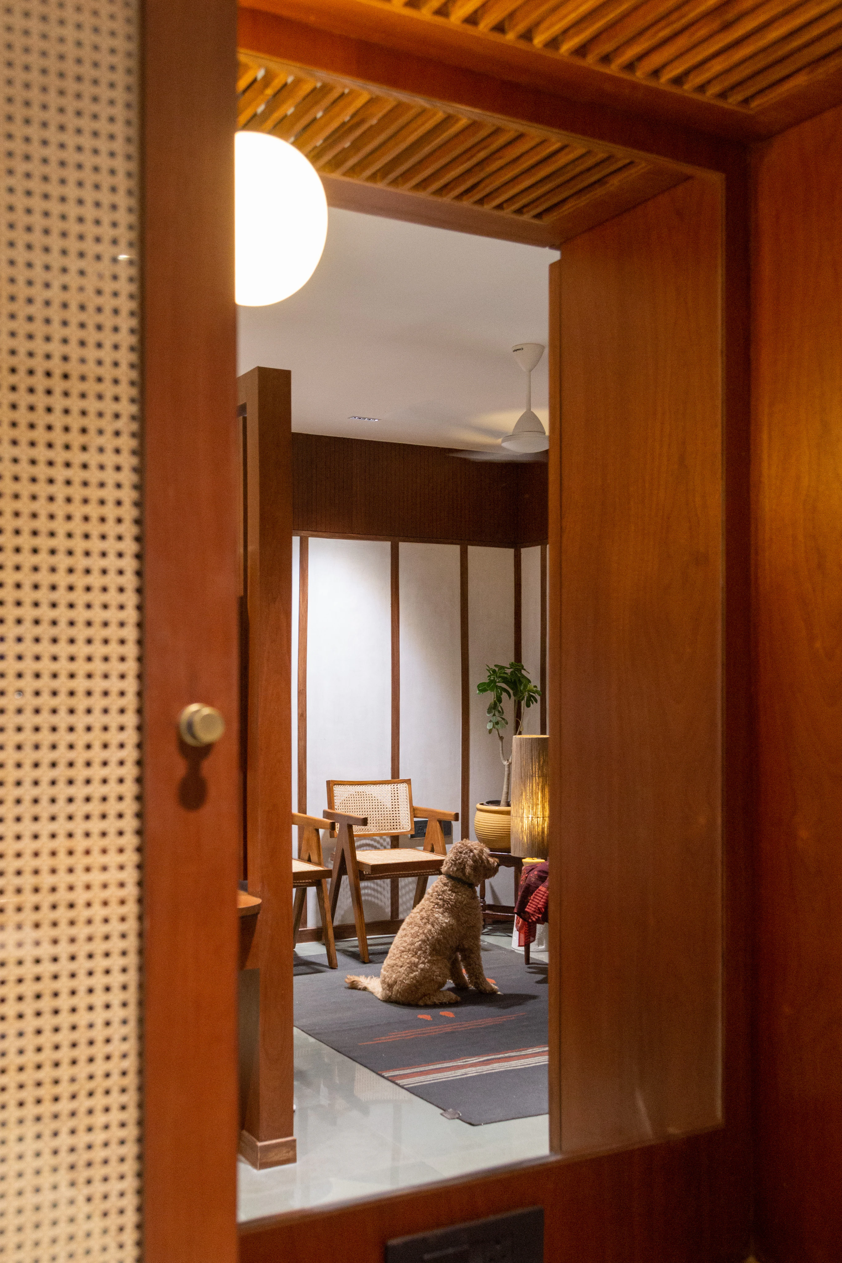 Alankāra doorway vista with companion dog framed by cane partitions