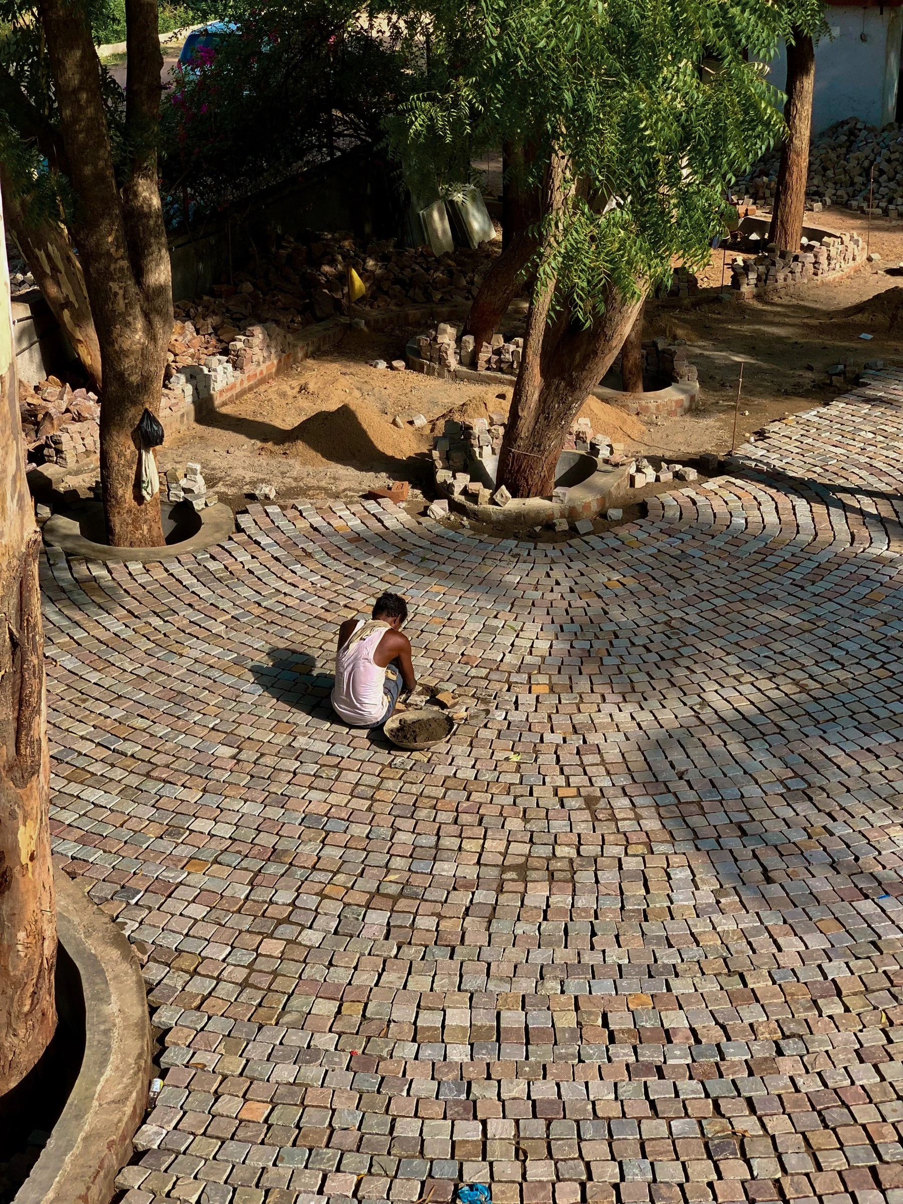 Skilled local stone craftsman carving radial pavers around preserved tree trunks
