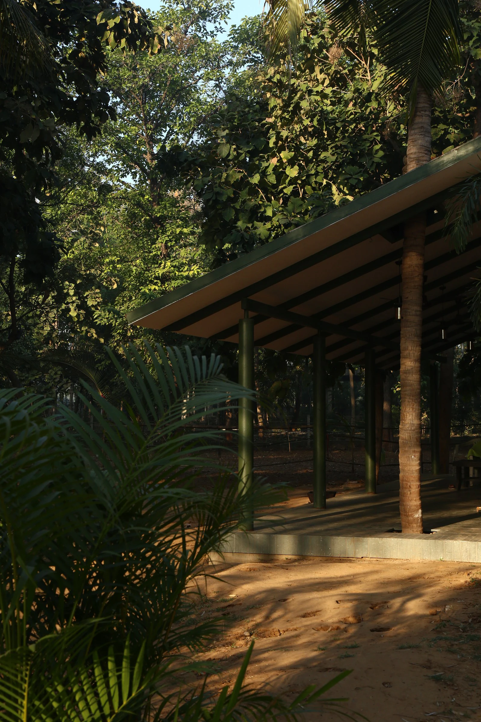 Verandah steel rafters and pavilion structure nestled in the forest