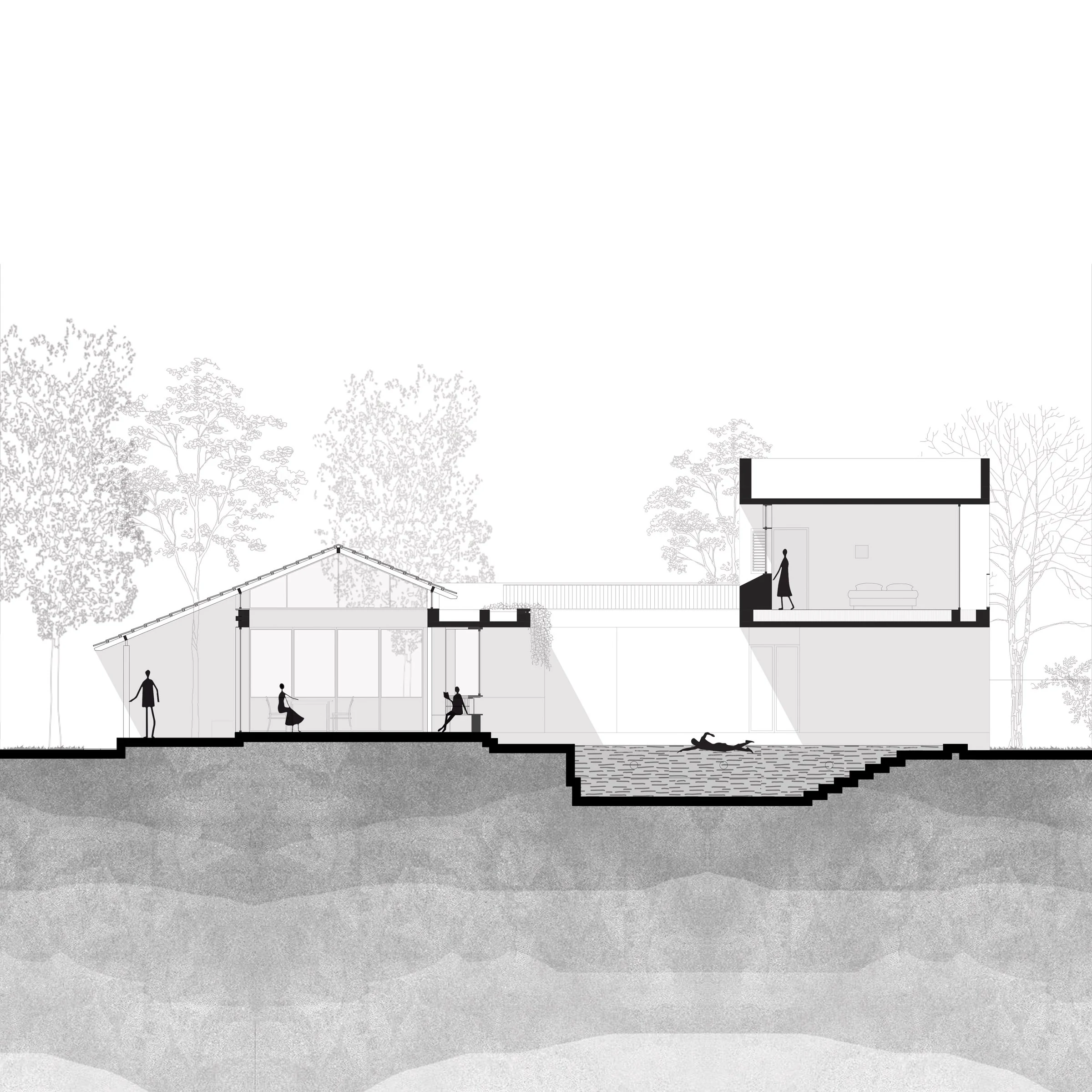 Asarma architectural cross section through the living wing and swimming pool courtyard