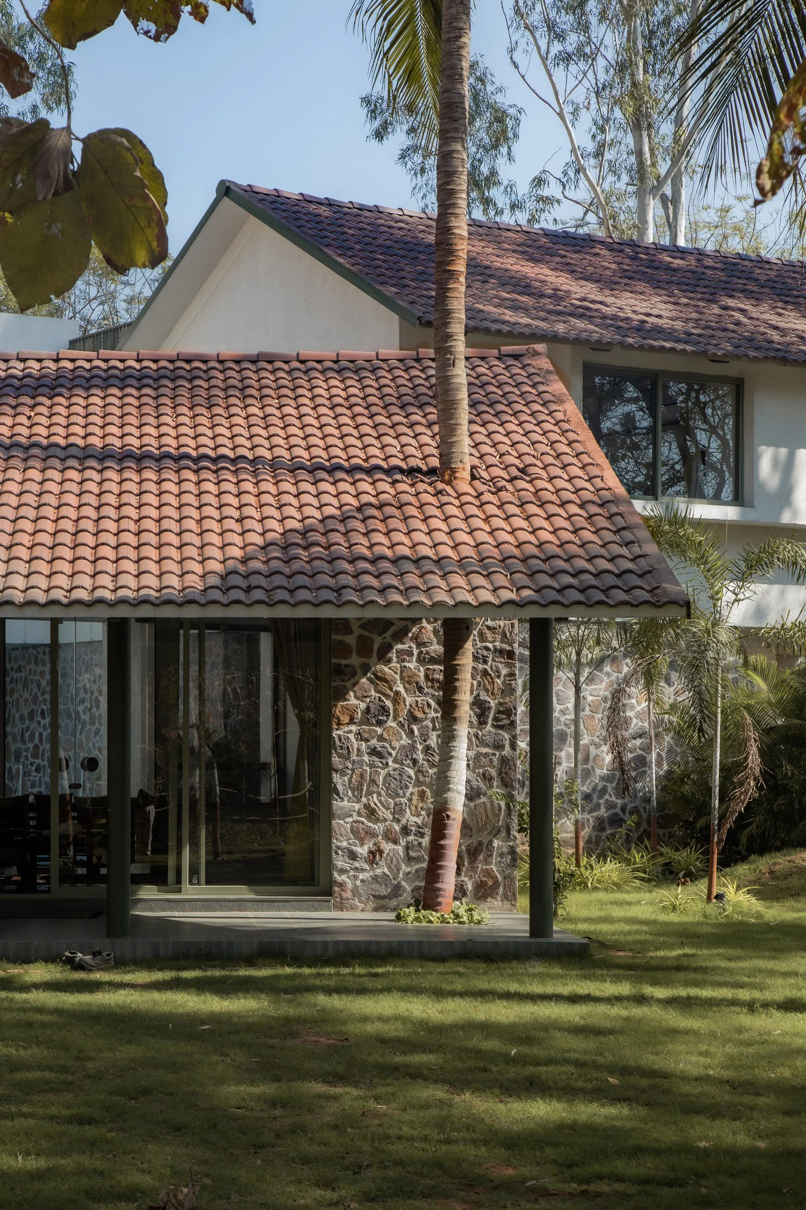 Verandah roof built around existing palm tree without felling a single trunk