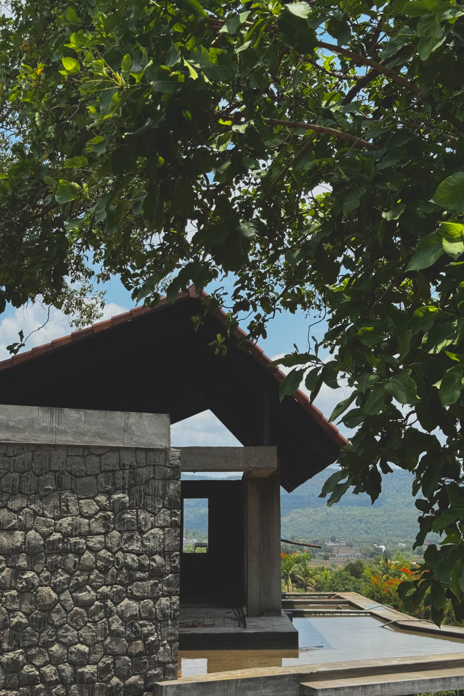 Overhead timber framework and foliage